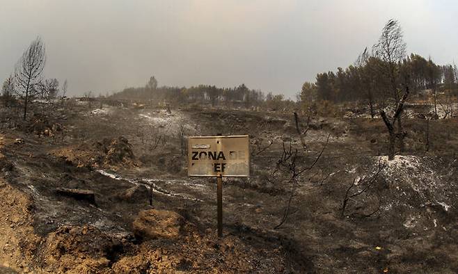 지난 17일(현지시간) 스페인 비베르에서 초목이 불에 타 검게 그을린 잔해가 남아 있다. 비베르=AP뉴시스