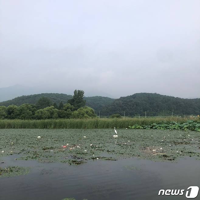 팔당호 일대 실종자들이 종종 발견되는 지점 /뉴스1 ⓒNews1 이상휼 기자