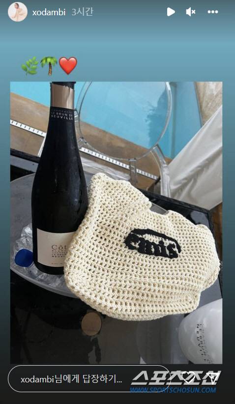 사진 출처=손담비 인스타그램