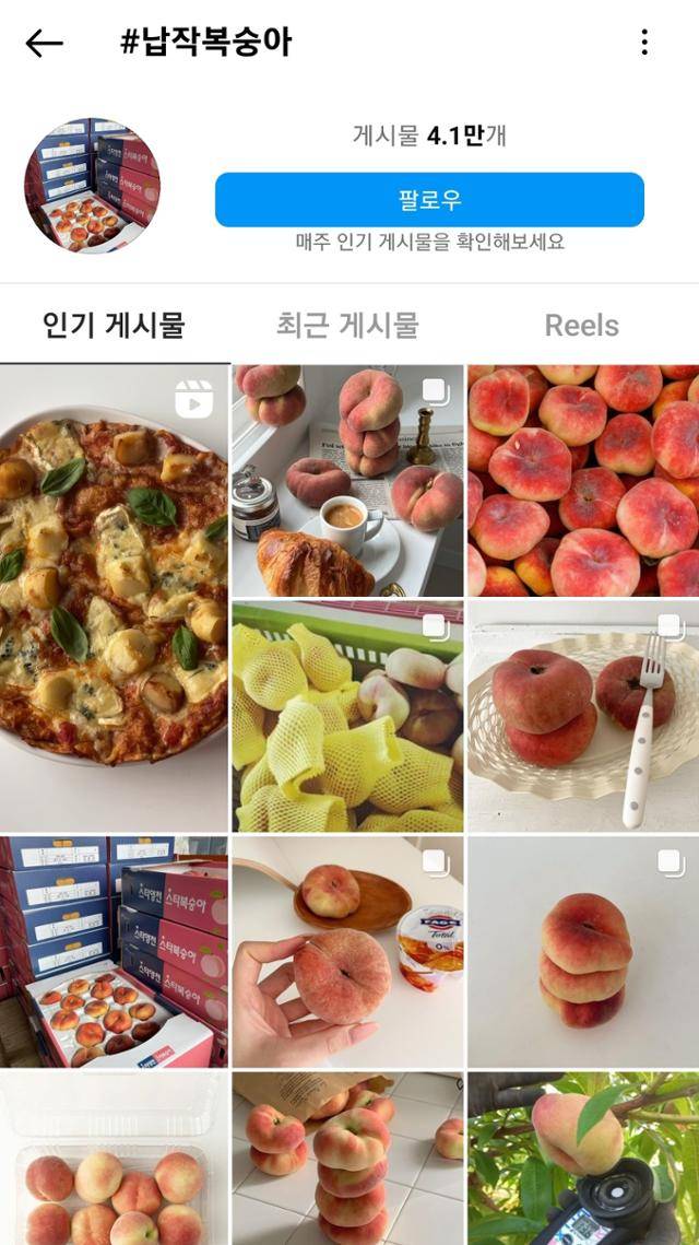 인스타그램에서 '납작복숭아'로 검색된 게시 글이 4만 개가 넘는다. 인스타그램 캡처