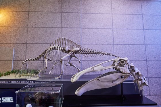 몸길이 11m인 데이노케이루스는 식물·물고기를 먹는 잡식성 공룡으로 입이 긴 부리처럼 생겼다..