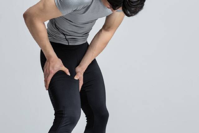 무릎 인공관절 수술 결과엔 허벅지 근육의 질이 영향을 끼친다는 연구 결과가 발표됐다./사진=게티이미지뱅크