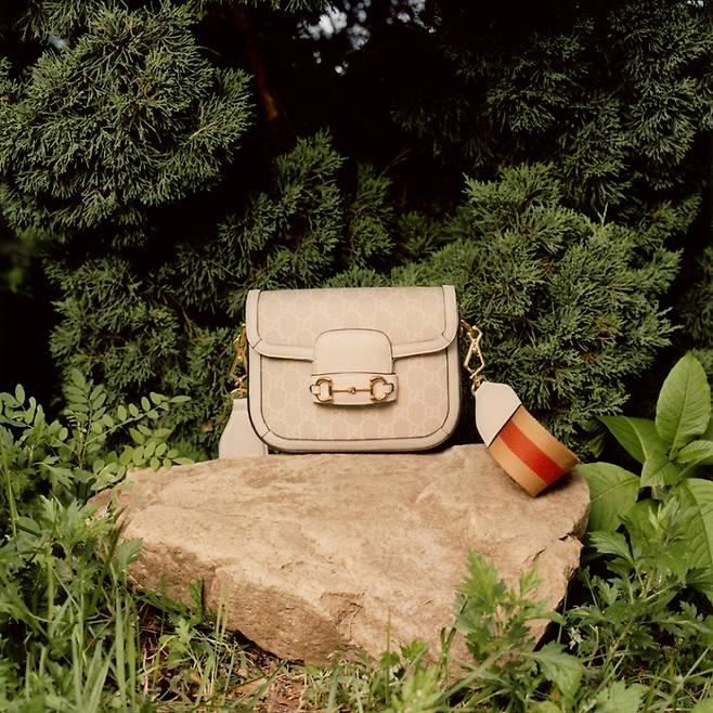 사진 : 구찌(Gucci), Credits. 이미지 & 비디오. 크리에이티브 디렉터: 알레산드로 미켈레(Alessandro Michele), 아트 디렉터: 한다솜(Dasom Han), 디렉터: 이행갑(Hanggab Lee), 포토그래퍼: 박배(PAKBAE), 스타일리스트: 정환욱(Fwanwook Jung)