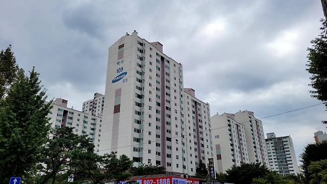 일산의 한 재건축 단지.