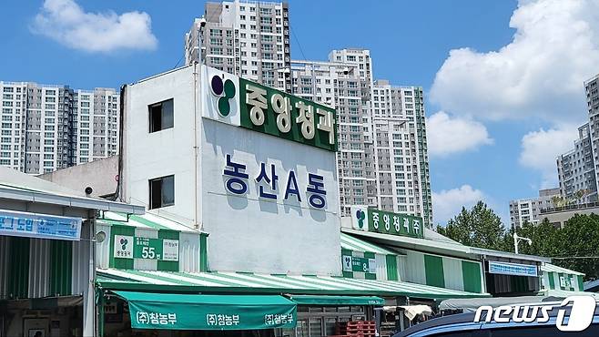 대구 북구 매천동 농수산물도매시장 내부 모습. 2022.8.25/뉴스1 ⓒ News1 이성덕 기자