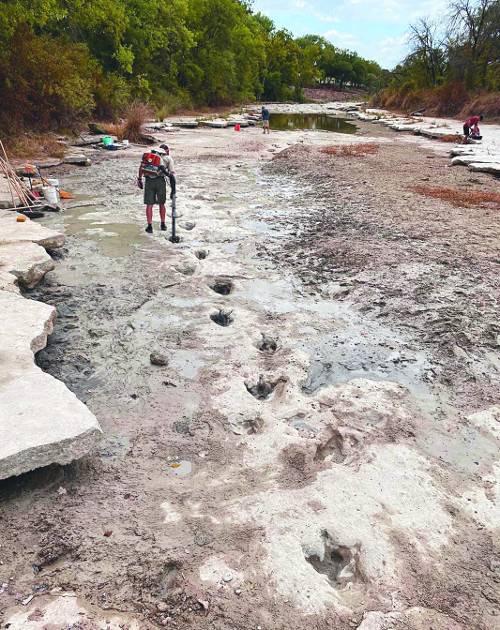 미국 텍사스 글렌로즈에 있는 공룡계곡 주립공원에서 23일(현지시간) 한 탐방객이 1억1300만년 전 공룡 발자국을 살펴보고 있다. 가뭄으로 계곡물이 바짝 마르면서 바닥을 드러내 숨겨져 있던 공룡 발자국이 나타난 것이다. 기후변화에 따른 기록적인 폭염과 극심한 가뭄은 전 세계 곳곳에서 ‘뜻밖의 발견’까지 나오는 아이러니한 상황을 연출하고 있다. AFP연합뉴스