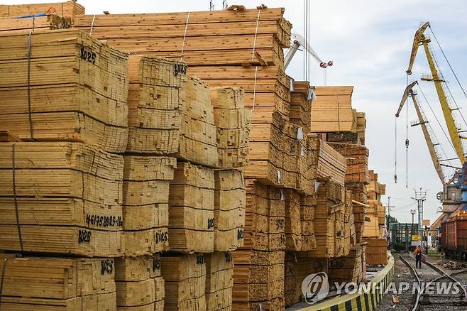 러시아 아스트라한에 쌓여 있는 목재 [타스 연합뉴스 자료사진. 재판매 및 DB 금지]