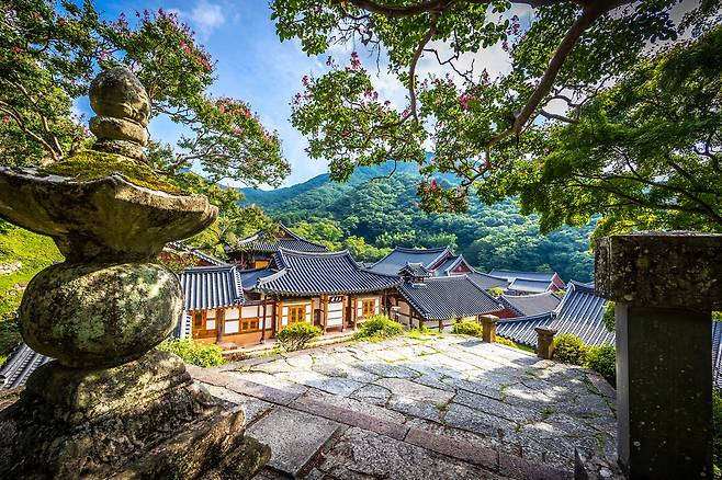 영화 '헤어질 결심'에서 '서래'와 '해준'이 걸어내려오던 계단의 위쪽엔 '순천송광사보조국사감로탑'이 있다. 송광사에서 가장 전망이 좋은 곳이기도 하다. 서래를 연기한 탕웨이는 송광사에 반해 실제로 영화 촬영 후 시간을 내어 탬플스테이도 하고 간 것으로 알려졌다. / 이신영 영상미디어 기자