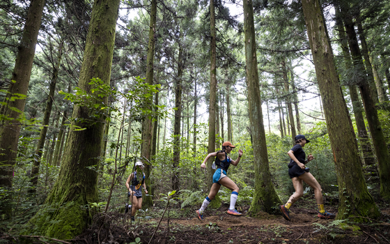 8월 20일부터 21일까지 1박2일 동안 코오롱스포츠가 주최한 ‘로드랩 제주 50K’ 참가자들의 모습. 첫째 날 코스였던 한라산 둘레길(천아숲길~돌오름길) 20㎞는 키 큰 나무들이 울창한 숲길로 한여름에도 시원한 그늘을 만들기 때문에 달리기에 안성맞춤이다. 정준희 기자