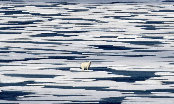 사진=AP연합뉴스