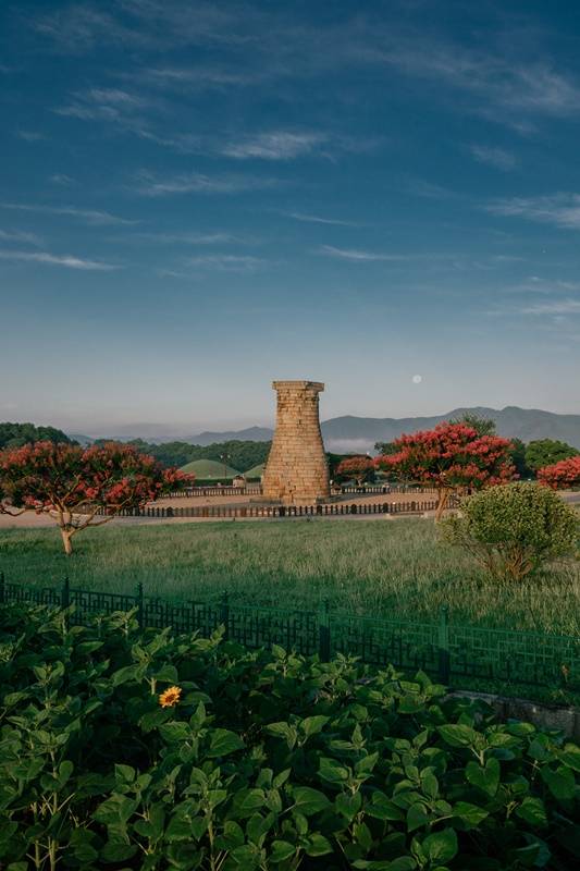 문화재 인생샷 투어-첨성대