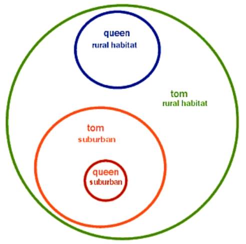 수컷 고양이(tom)의 영역 안에는 여러 개의 암컷 영역(queen)이 들어있다. 수컷은 번식 욕구로 인해 암컷보다 최대 10배 넓은 영역을 갖는다. knowyourcat