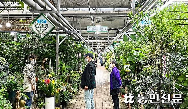 서울 서초구 aT양재꽃시장 분화매장에서 방문객들이 분화를 둘러보고 있다.