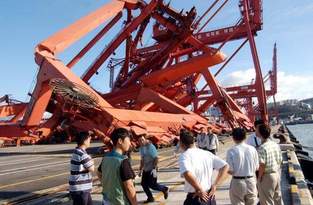 2003년 9월 13일 부산 자성대 부두에서 태풍 매미가 몰고 온 강풍으로 40톤 크레인이 넘어져 있다. 부산=이성덕 기자