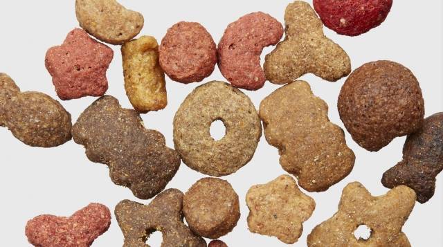 반려동물 사료는 영어권에서 키블(kibble)이라 불리며, 다양한 형태로 제작된다. 키블 전문가들은 반려견의 체중, 구강 형태, 식습관 등 개체별 특성을 연구해 최적의 알갱이 모양을 개발한다.