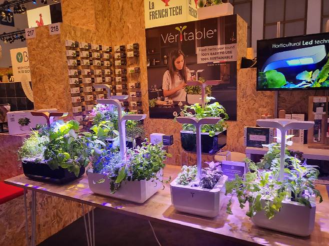 IIFA 넥스트관에 전시된 베리테이블의 '인도어 가든'. <베를린/정유정 기자>