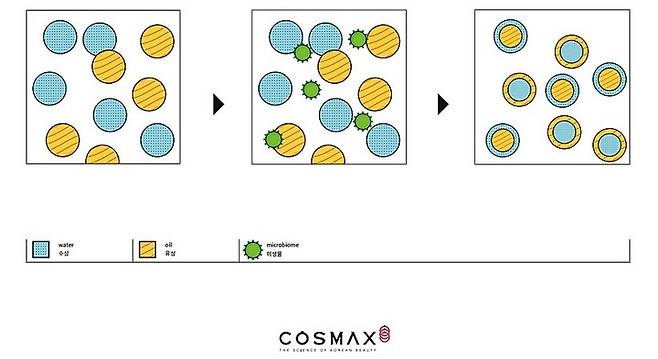 코스맥스 '바이오 나노 에멀젼' 모식도 *재판매 및 DB 금지