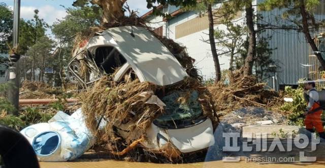 ▲태풍 ‘힌남노’가 휩쓸고 간 경북 포항시 남구 인덕동 이마트 앞 도로에 승용차가 가로수에 매달려 있다.ⓒ독자 제공