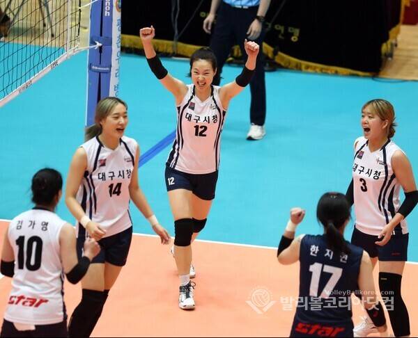 대구시청 백목화.