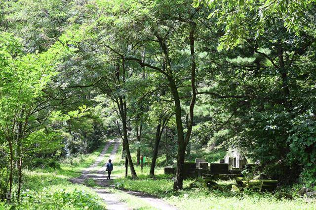 모운동 마을 뒤편에서 연결되는 운탄고도. 길 오른쪽에 동바리 제작소가 폐허로 남아 있다.
