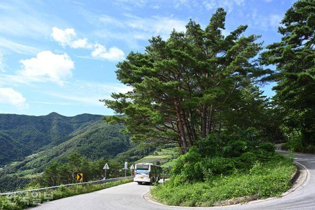 만경사로 오르는 도로 역시 커브의 연속이다.