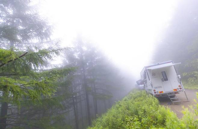 일본잎갈나무가 바라보이는 곳의 캠핑카 [사진/성연재 기자]