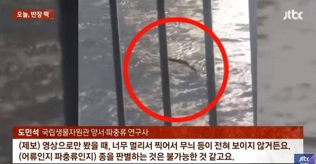 사진 = JTBC 뉴스 관련 보도 캡처