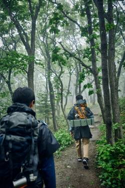검은색 옷, 향수 등은 벌을 자극해 벌 쏘임 사고를 유발할 수 있다. /게티이미지뱅크