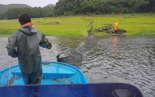 그물 걷는 어부 [연합뉴스 자료사진]