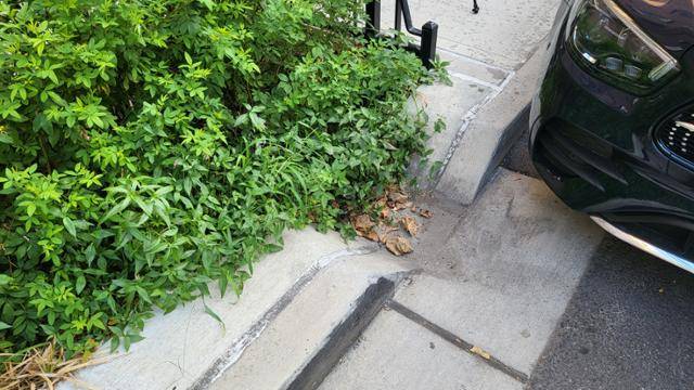 레고파크 지역에 설치된 빗물정원(레인가든)입니다. 일반 가로수와 달리 물이 흘러 들어올 수 있는 틈이 패여 있습니다. 뉴욕=김현종 기자