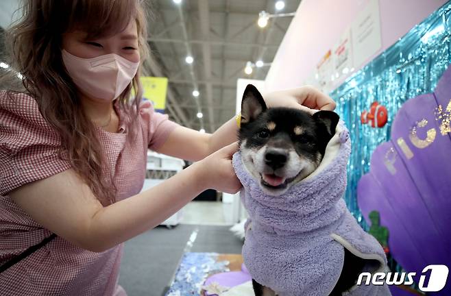 지난달 인천 연수구 송도 컨펜시아에서 '2022케이펫 페어 송도'가 열리고 있다.  ⓒ News1