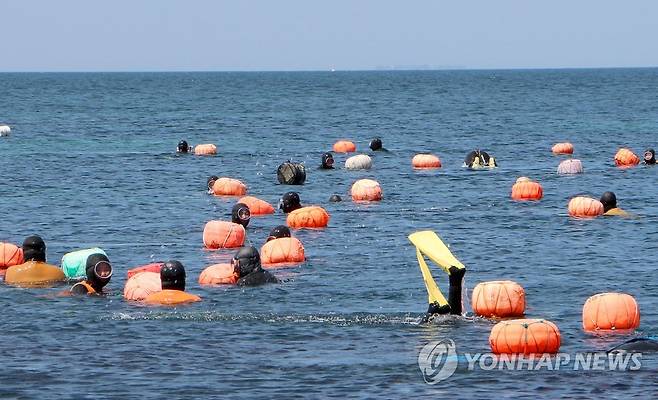 우뭇가사리 채취하는 제주 해녀 [연합뉴스 자료 사진]