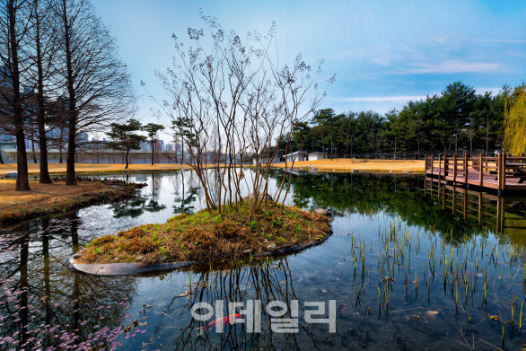 ▲삼성전자가 15일 ‘新환경경영전략’을 발표했다. 사진은 삼성전자 화성 사업장 ‘그린센터’를 통해 정화된 물로 조성한 연못 모습. (사진=삼성전자)