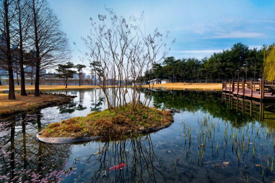 삼성전자 화성 사업장 '그린센터'를 통해 정화된 물로 조성한 연못 모습.(사진제공=삼성전자)