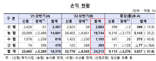 2022년 1~6월 상호금융권 손익 현황. 금융감독원 제공