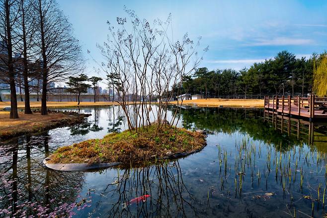 삼성전자 화성 사업장 ‘그린센터’를 통해 정화된 물로 조성한 연못. [삼성전자 제공]