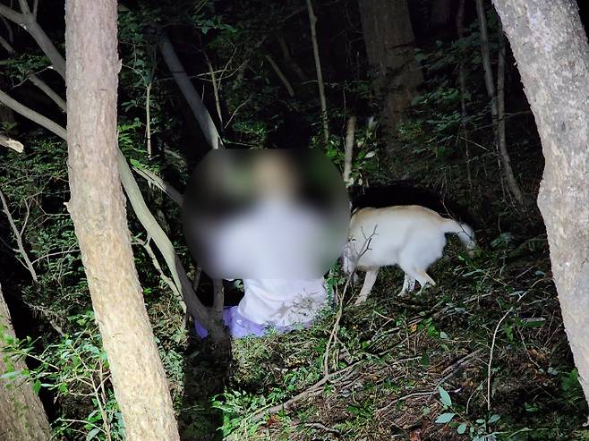 경남경찰청 제공