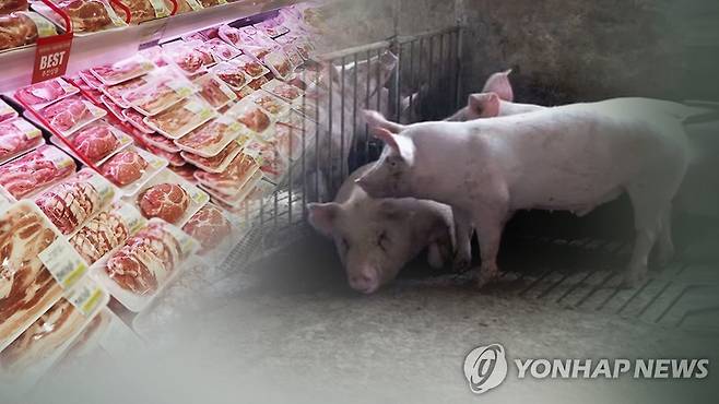 돼지고기. 기사와 직접 관련 없음(CG) [연합뉴스TV 제공]