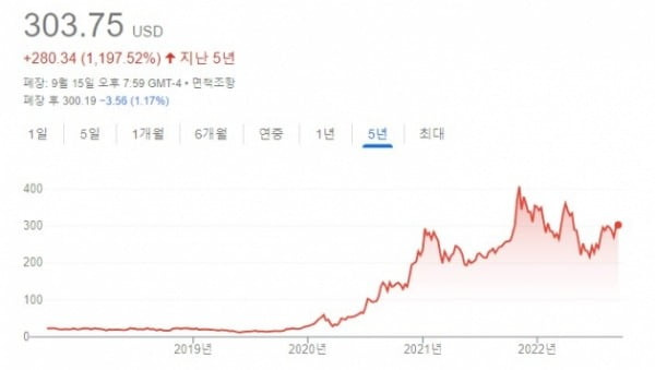 테슬라의 지난 5년 주가 차트 /사진=구글