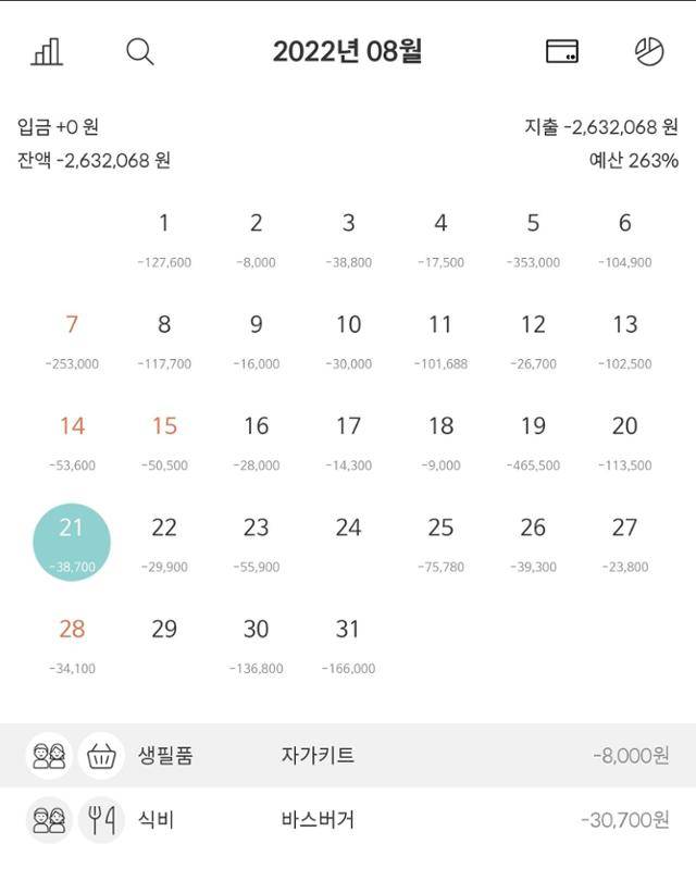 직접 작성한 지난달 가계부. 입력만 하면 날짜·소비주체·카테고리별 소비내역을 한번에 확인할 수 있다.