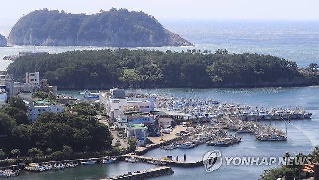 태풍 난마돌 북상에 대피한 어선들 (서귀포=연합뉴스) 박지호 기자 = 제14호 태풍 난마돌이 북상하는 가운데 18일 오전 서귀포항에 어선들이 대피해 있다. 2022.9.18 jihopark@yna.co.kr