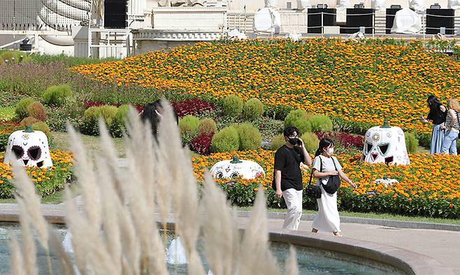 19일 경기 용인시 처인구 에버랜드 할로윈 테마가든을 찾은 시민들이 만개한 꽃들을 보며 가을의 정취를 만끽하고 있다. 뉴스1