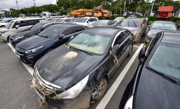 9월 태풍 '힌남노'가 휩쓸고 간 이후, 대규모 침수 차량 피해가 1만건에 육박하면서 손해율 악화가 이어질 것으로 예상된다. 사진은 지난 13일 오전 경북 포항시 포항종합운동장 주차장에 태풍 힌남노로 침수된 차량들이 모여있는 모습. [사진=뉴시스]