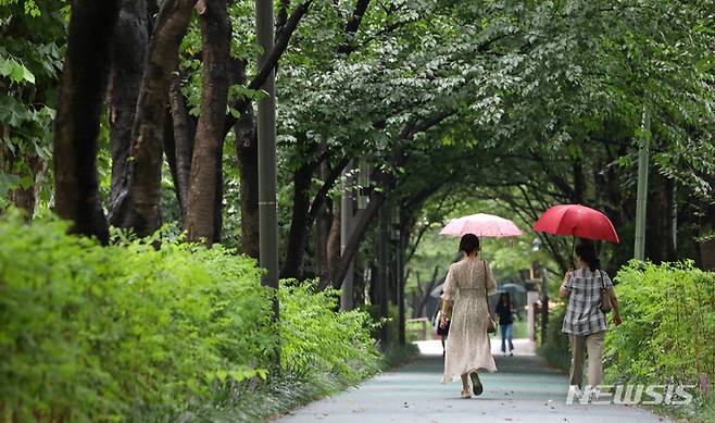 [서울=뉴시스] 김금보 기자 = 전국 대부분 지역에 비가 내린 지난 7월31일 오후 서울 서초구 양재천길에서 우산을 쓴 시민들이 녹음 속을 산책하고 있다. 2022.07.31. kgb@newsis.com