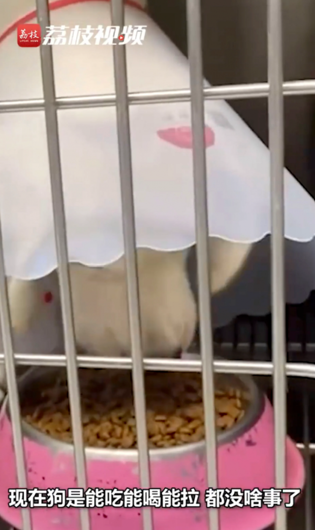 South China Morning Post (SCMP) 홈페이지 캡쳐.