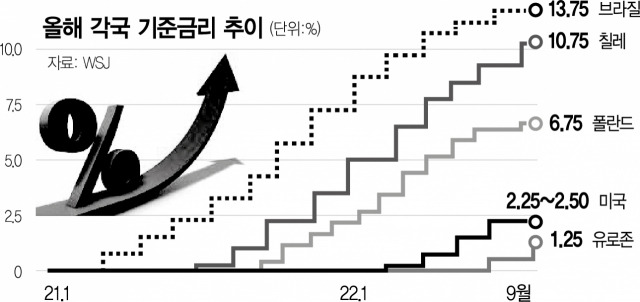 사진 설명