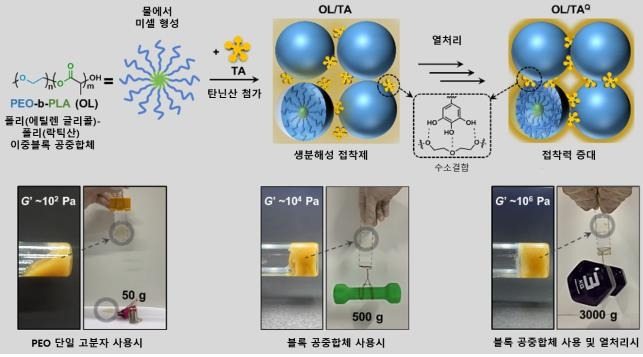 연구 성과 모식도 [한국과학기술원(KAIST) 제공. 재판매 및 DB 금지]