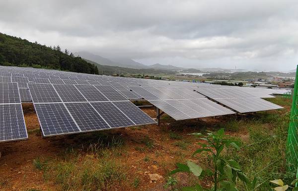 전남 해남군 달마산 자락에 빼곡히 설치된 태양광 패널. 문재인정부 시절 사업 허가 남발로 태양광 사업자들이 몰려들어 발전소를 설치했다. 정부가 지난 13일 발표한 실태 조사 결과에 따르면 태양광 사업의 17%에서 부실이 확인됐다. 국민일보DB