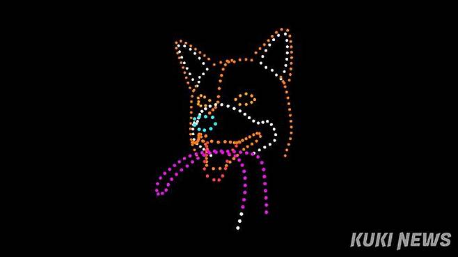 ‘펫티켓’ 드론라이트쇼.