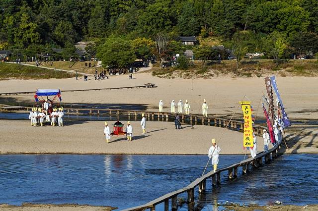 영주시의 '무섬외나무다리축제' 모습/사진제공=경북 영주시